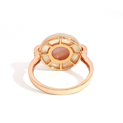 CHR0238