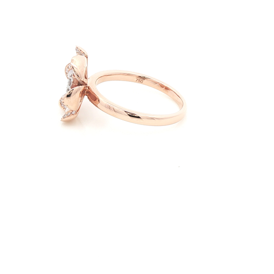 CHR0080