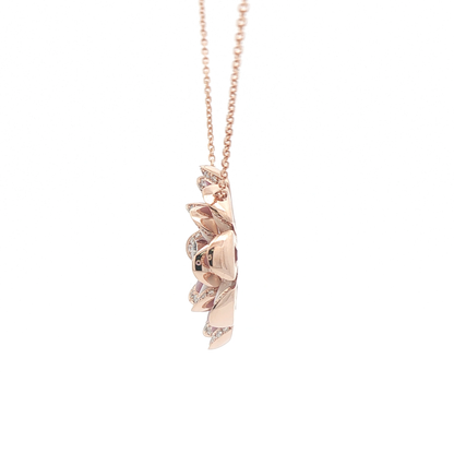 CHP0080