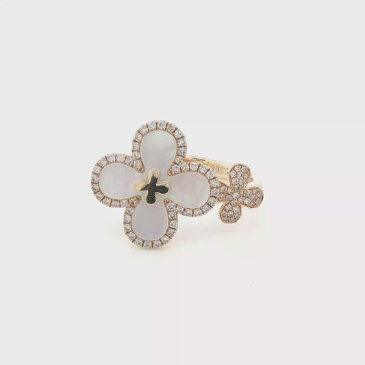CHR0030